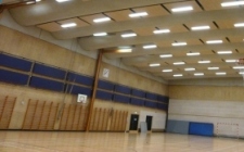 Read more about the article Skovpark Hallen Nyborg